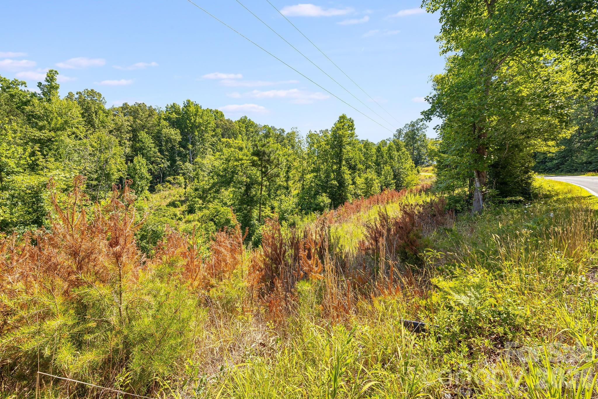 Lot #2 Clark Road Rutherfordton, NC 28139 - Photo 11 of 36