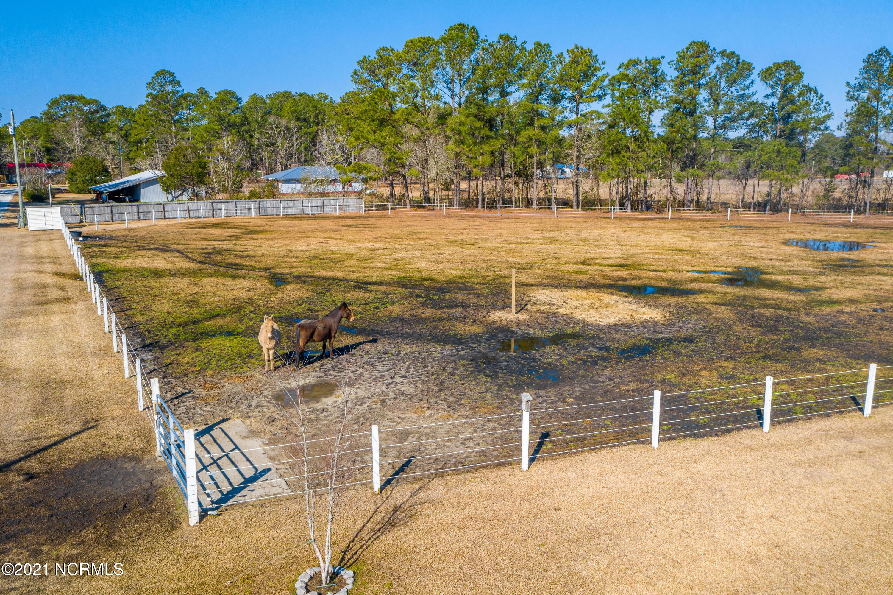589 Coston Road Richlands, NC 28574 - Photo 15 of 45 589 Coston Road-15
