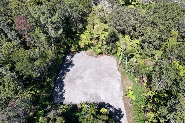 a view of a garden with a tree