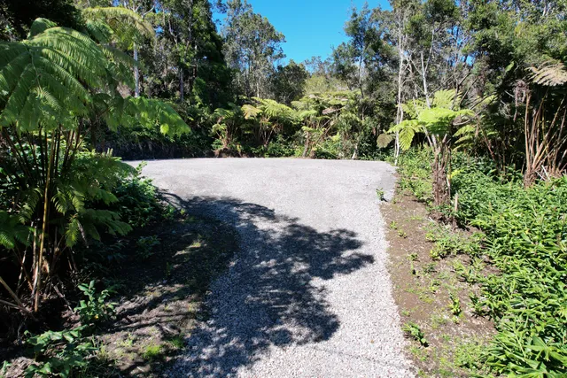 a view of a tree with a yard