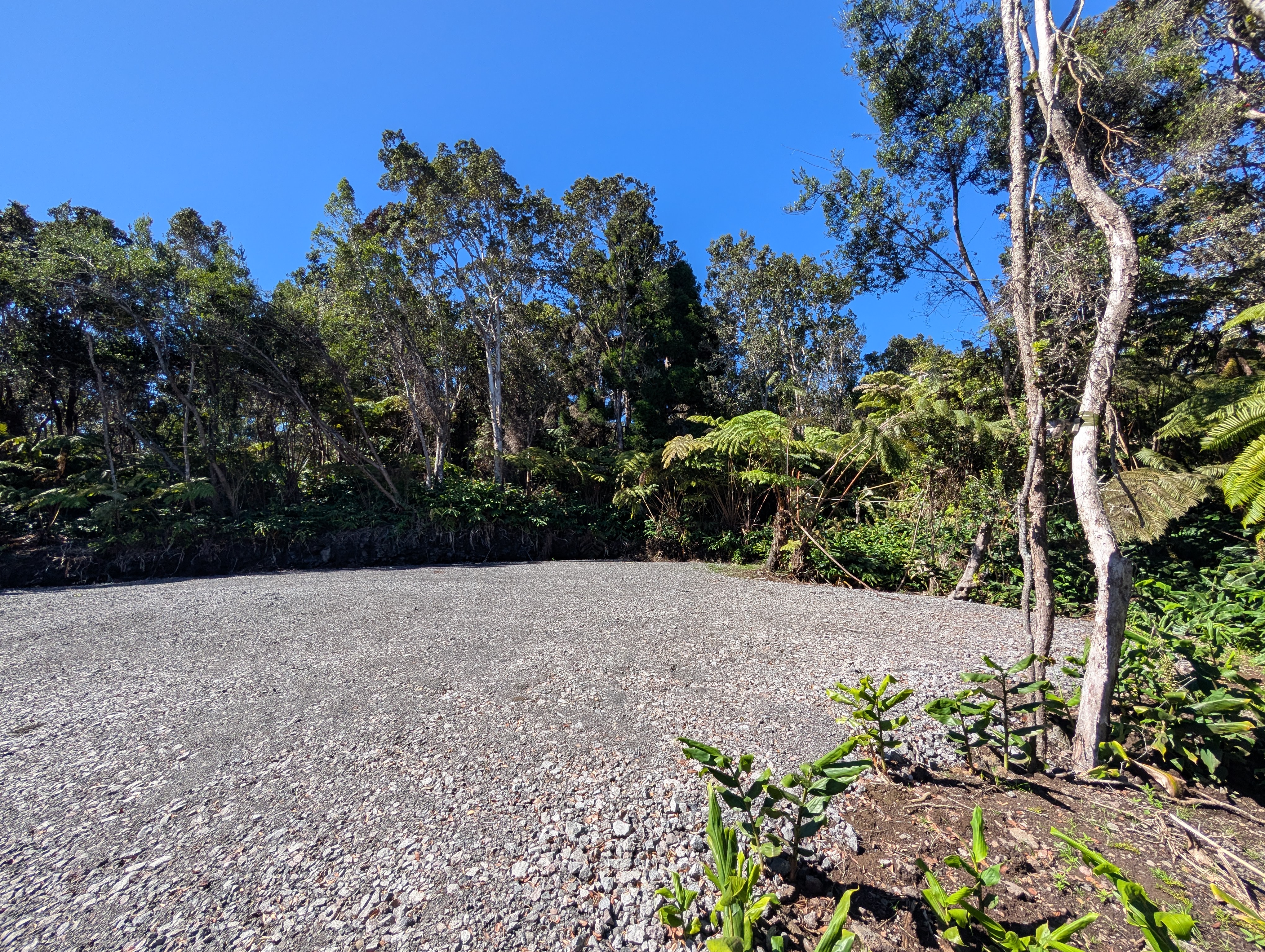 19-3944 Kilinoe Volcano, HI 96785 - Photo 5 of 10
