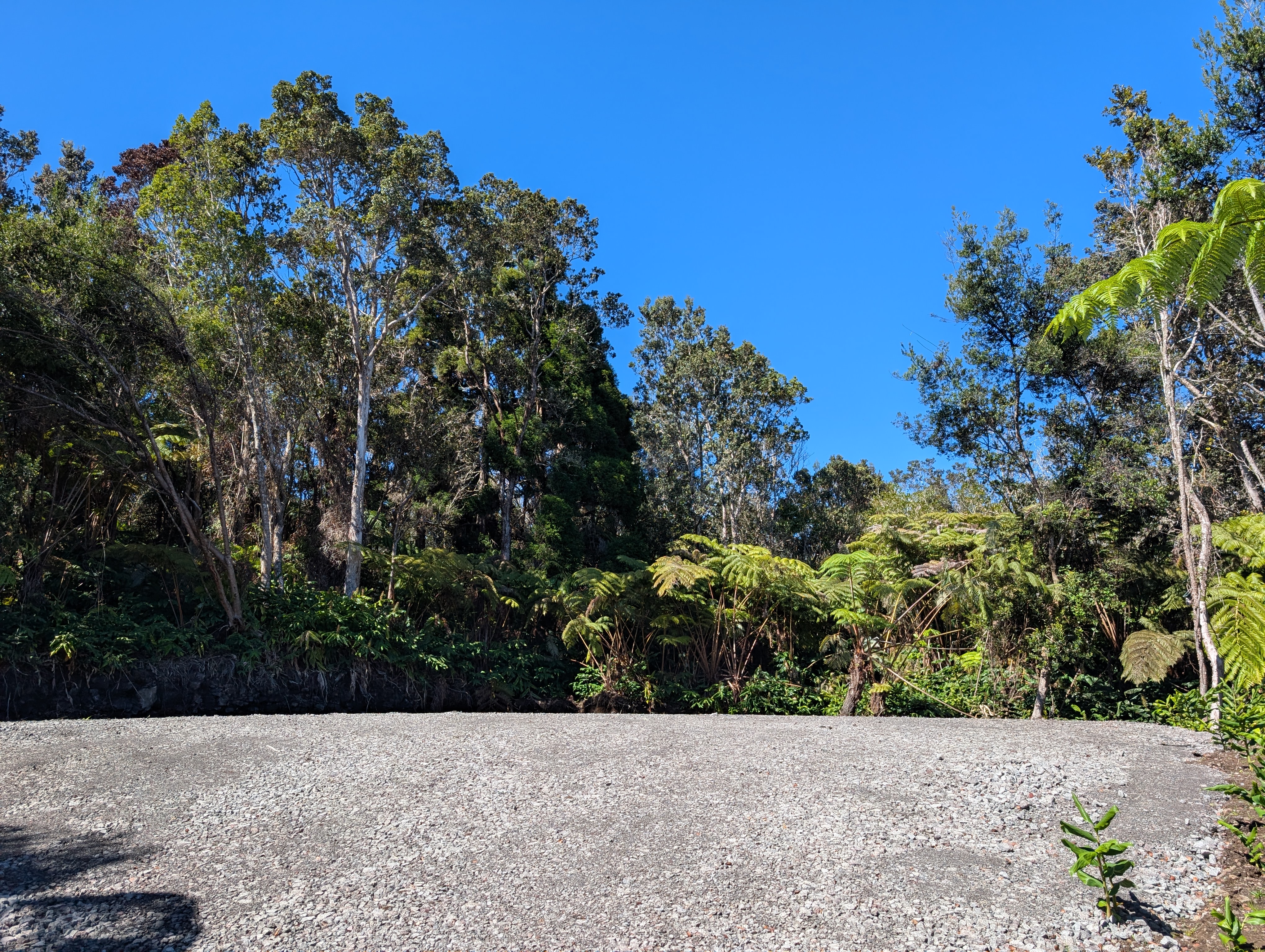 19-3944 Kilinoe Volcano, HI 96785 - Photo 6 of 10