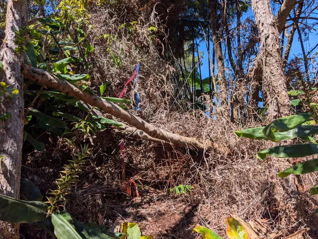 $85,000 | 19-3944 Kilinoe, Volcano, HI 96785