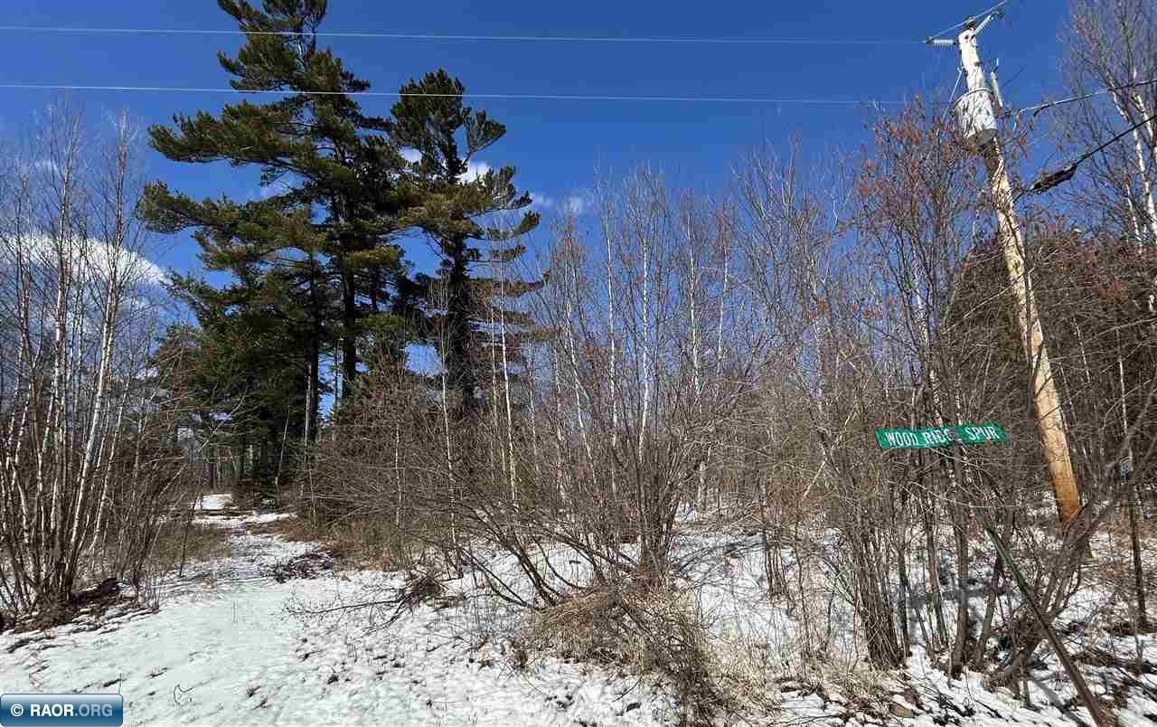 4375 Wood Ridge Drive Two Harbors, MN 55616 - Photo 6 of 20