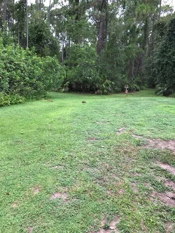 a view of outdoor space with deck and yard