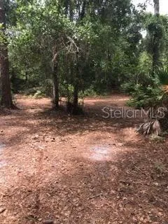 a big yard with lots of green space