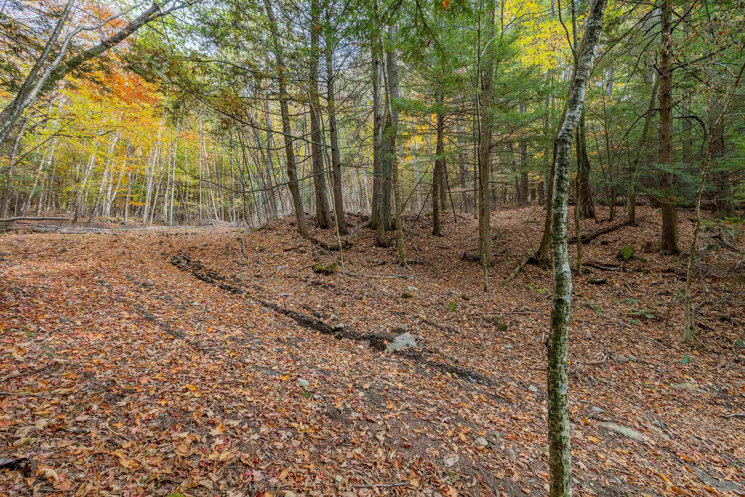 62 Stevens Road Hanover, NH 03755 - Photo 9 of 17