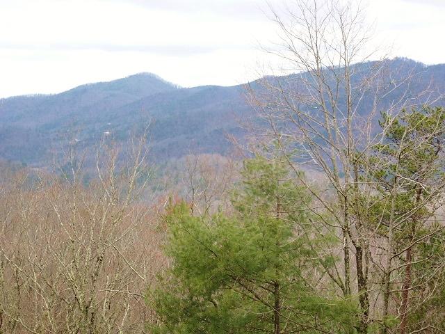 4965 Long Rifle Road Walland, TN 37886 - Photo 5 of 22 P1060353