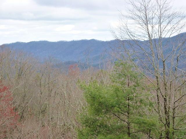 4965 Long Rifle Road Walland, TN 37886 - Photo 6 of 22 P1060354