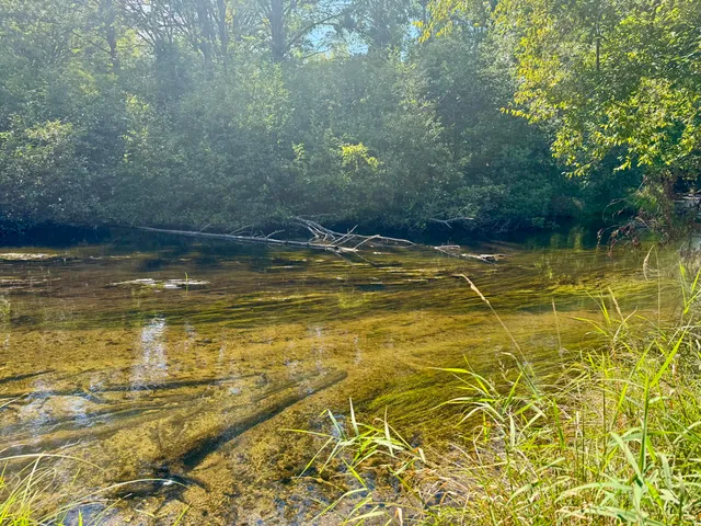 $44,900 | 6685 Cedar Trace, Stanwood, MI 49346