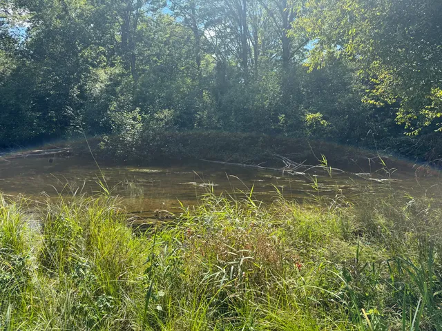 $44,900 | 6685 Cedar Trace, Stanwood, MI 49346