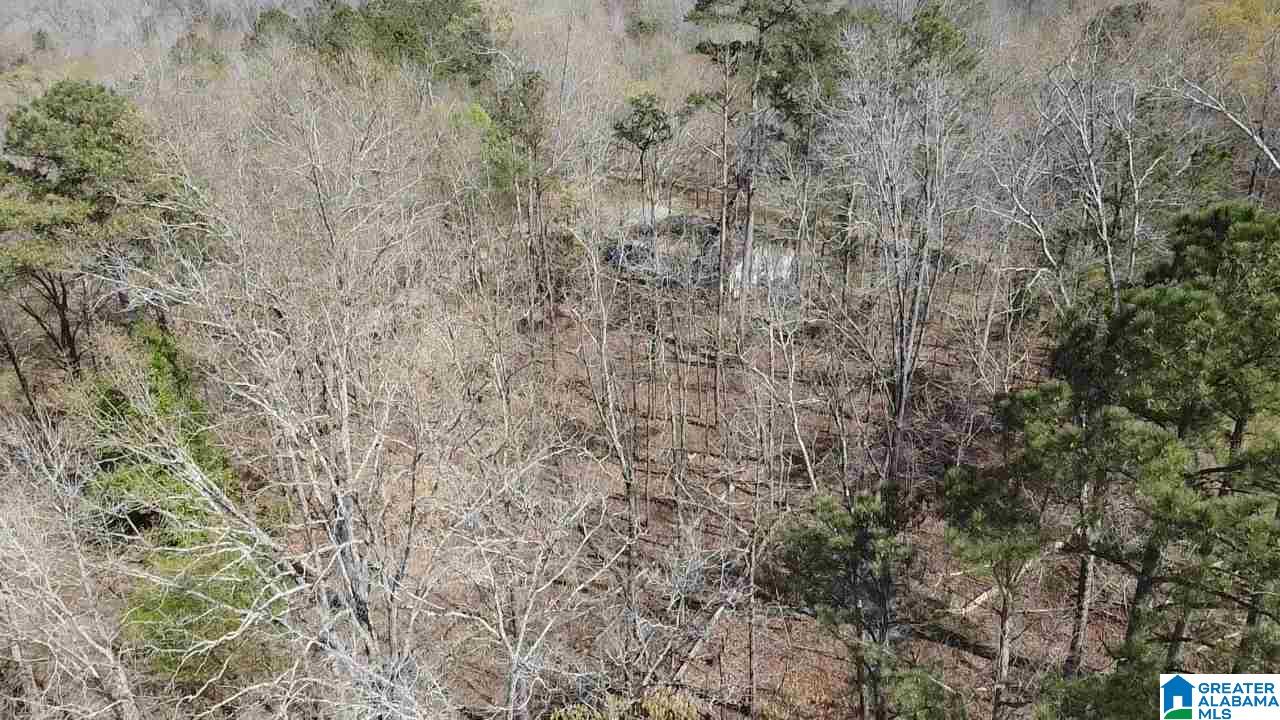 8454 Shoreside Lane, Unit LOT Helena, AL 35022 - Photo 3 of 4
