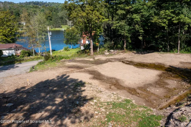 a view of a yard with trees