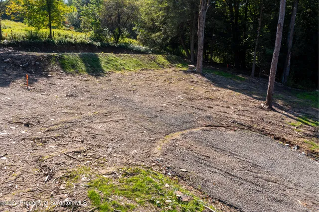 a view of backyard with green space