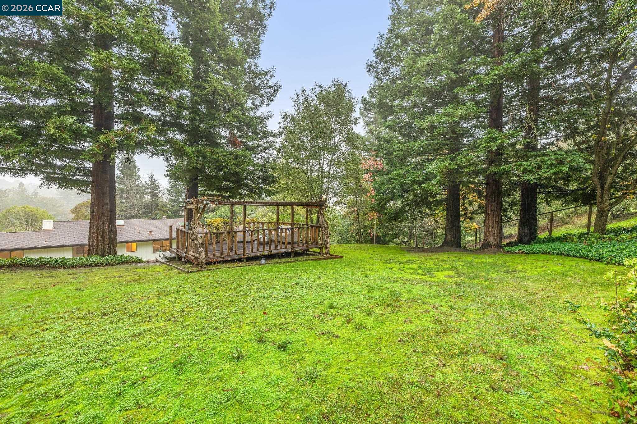 1324 A Martino Road Lafayette, CA 94549 - Photo 50 of 55 a view of a trees with a yard