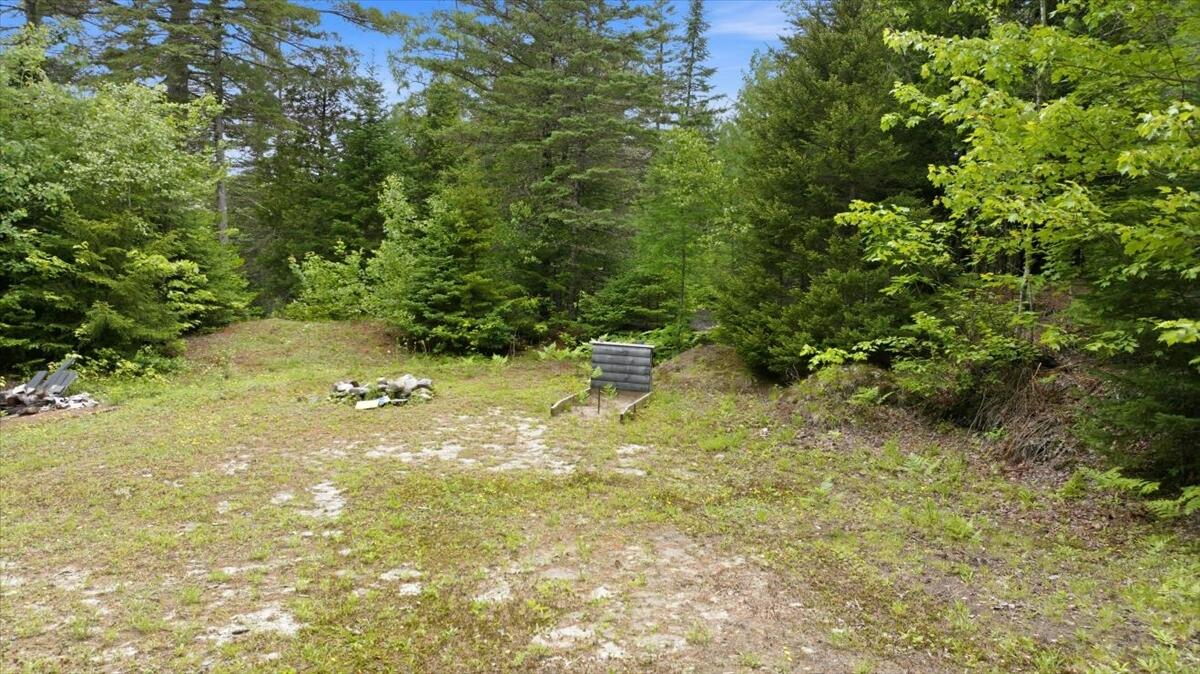 40 Shingle Mill Road New Vineyard, ME 04956 - Photo 4 of 52 16-DJI_20260619103109_0094_D