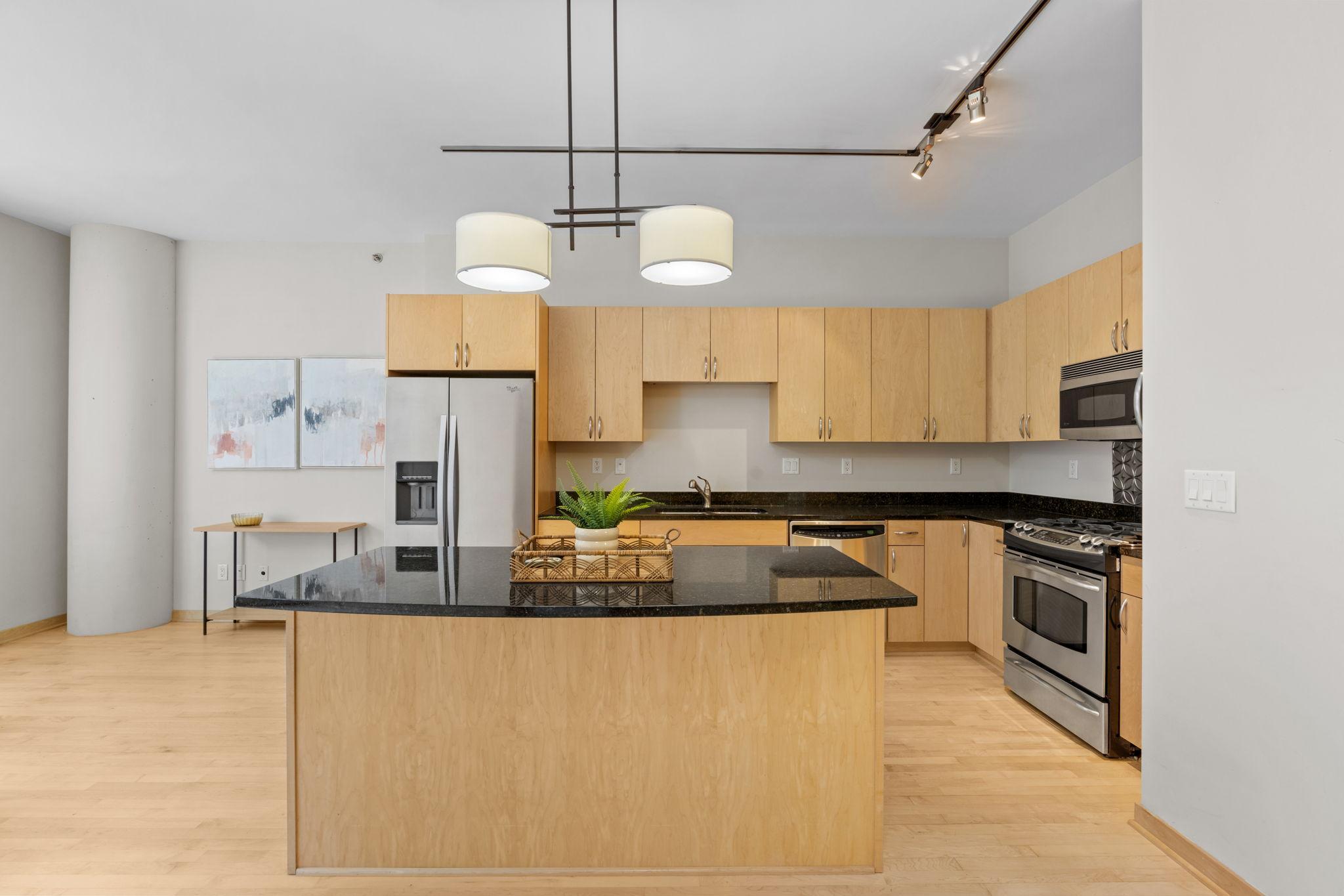 215 10th Avenue South, Unit 533 Minneapolis, MN 55415 - Photo 9 of 65 Gallery Image 9