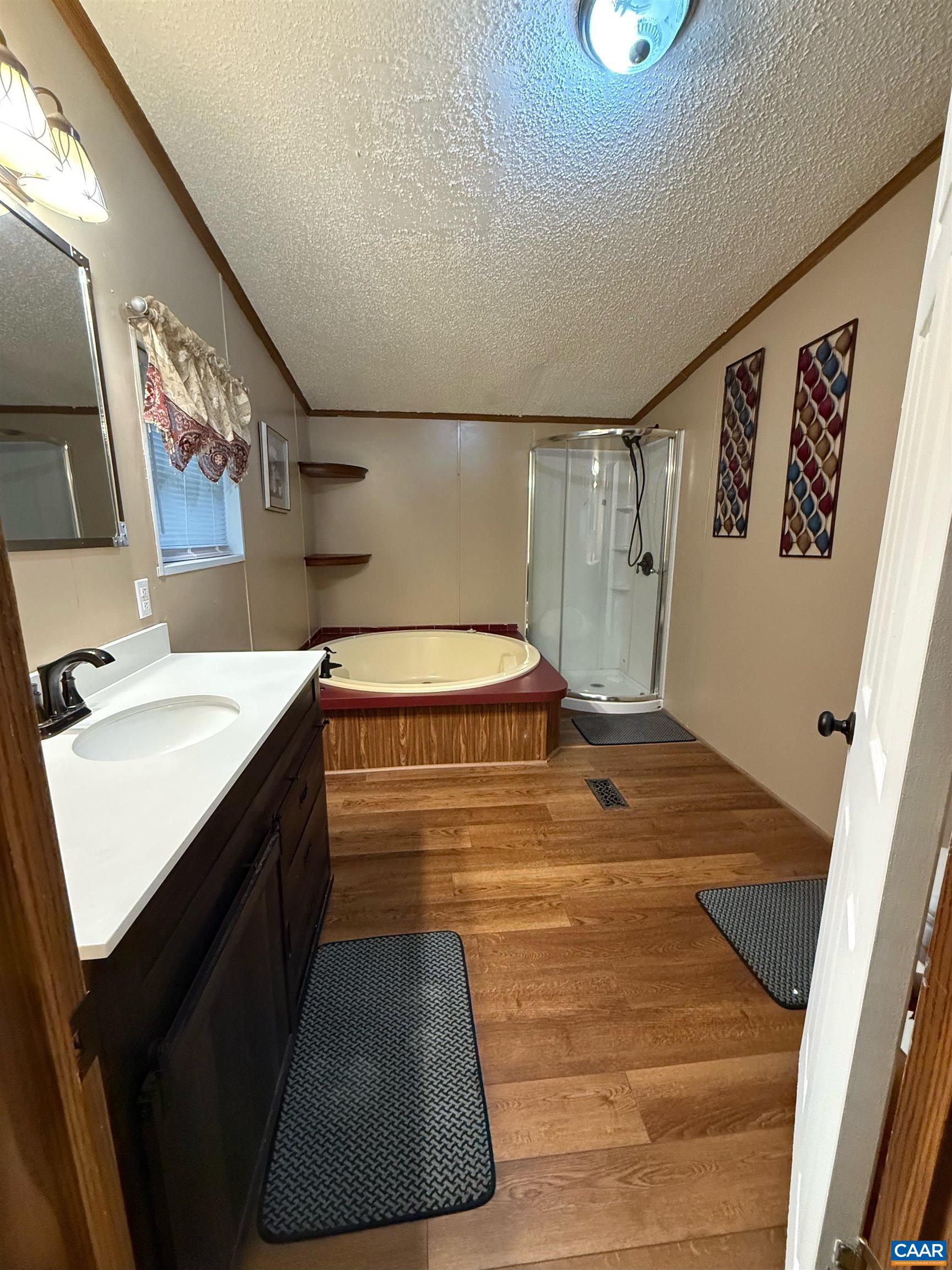 579 Glenmore Road Scottsville, VA 24590 - Photo 23 of 25 Primary attached bath