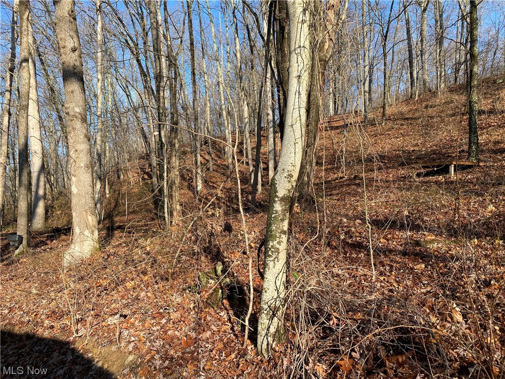 0 Shay Ridge Road New Matamoras, OH 45767 - Photo 9 of 29 View of nature
