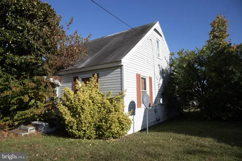 a view of backyard with plants and large trees