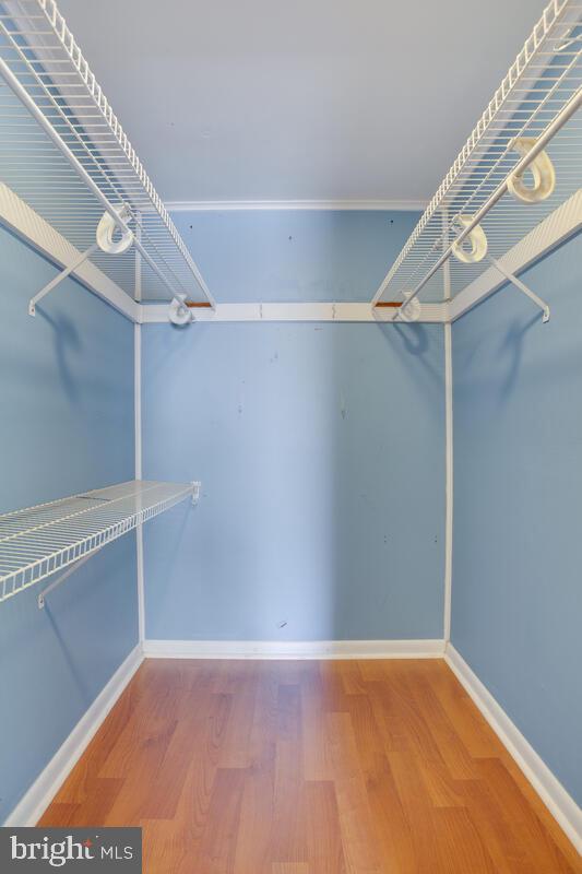 1529 Lilac Road St. Leonard, MD 20685 - Photo 38 of 69