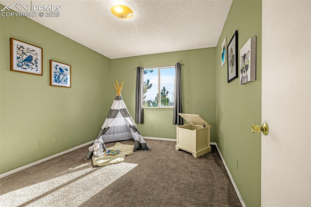 512 Harvest Moon Road Fountain, CO 80817 - Photo 17 of 41 a room with a chandelier fan and wooden floor