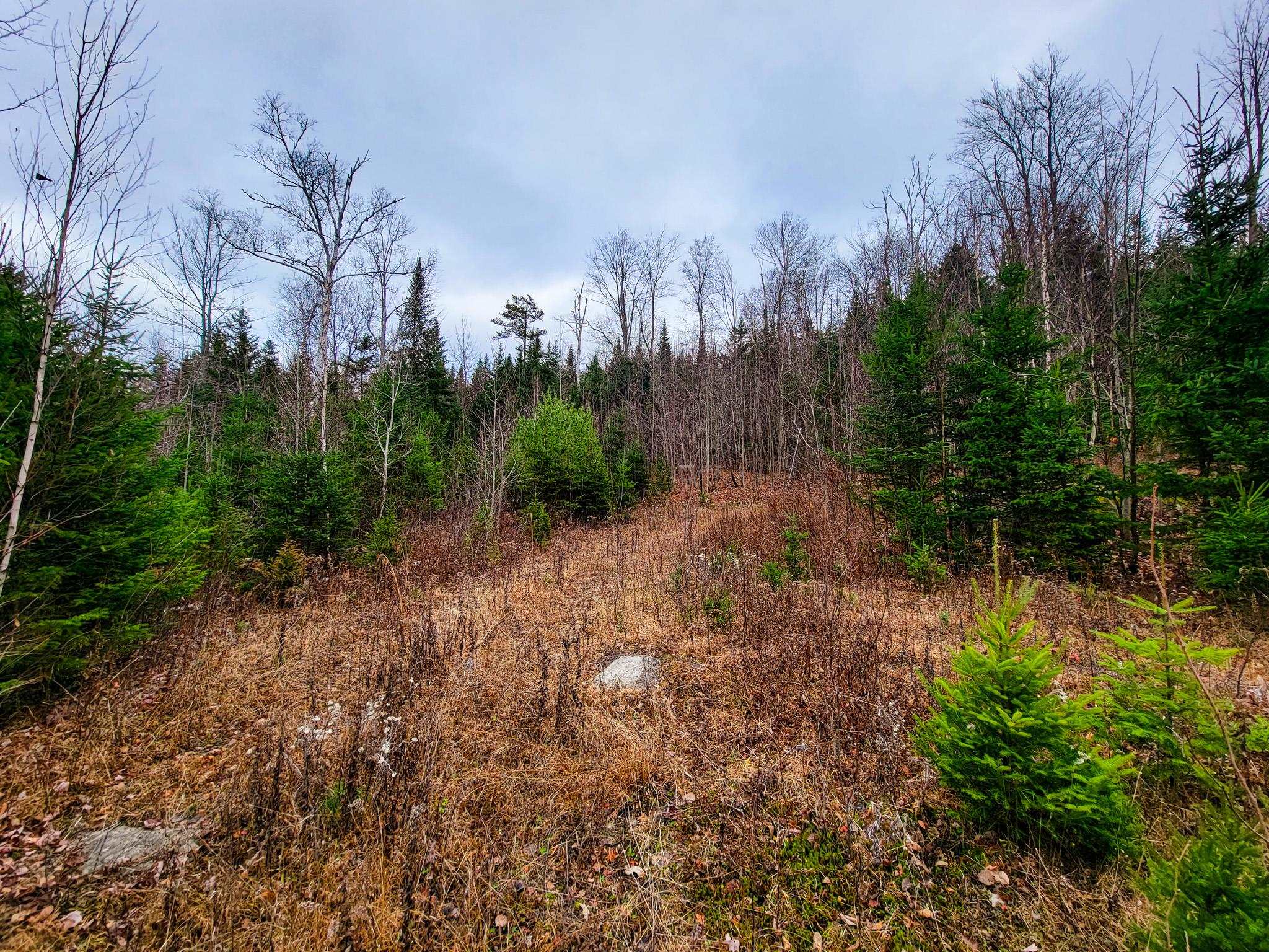 313 Paradis Mountain Road Brighton, VT 05846 - Photo 11 of 40 Gallery Image 11