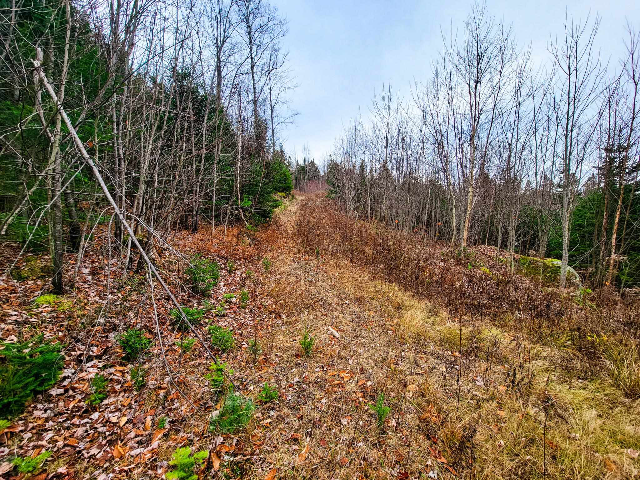 313 Paradis Mountain Road Brighton, VT 05846 - Photo 12 of 40 Gallery Image 12
