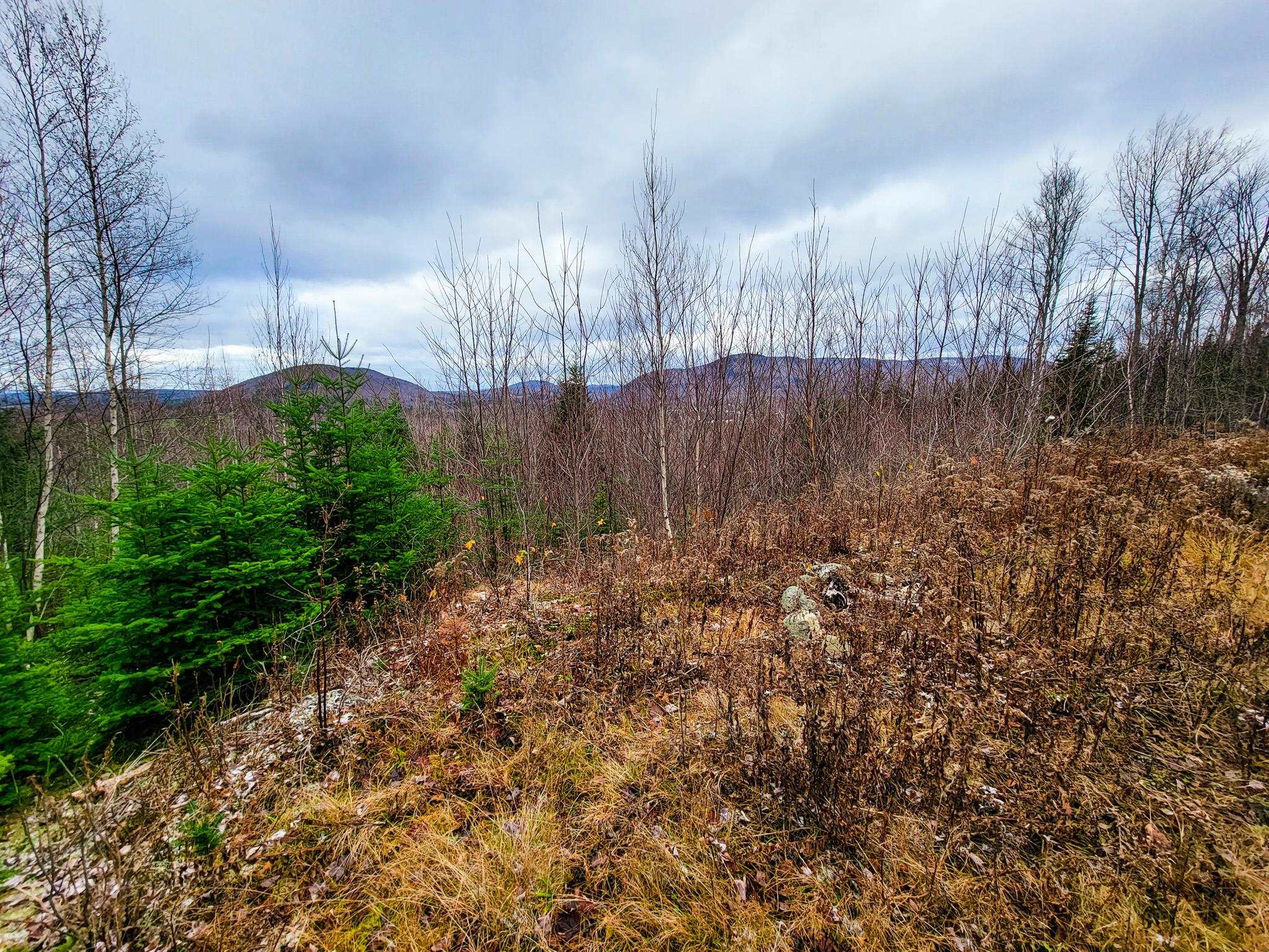 313 Paradis Mountain Road Brighton, VT 05846 - Photo 16 of 40 Gallery Image 16
