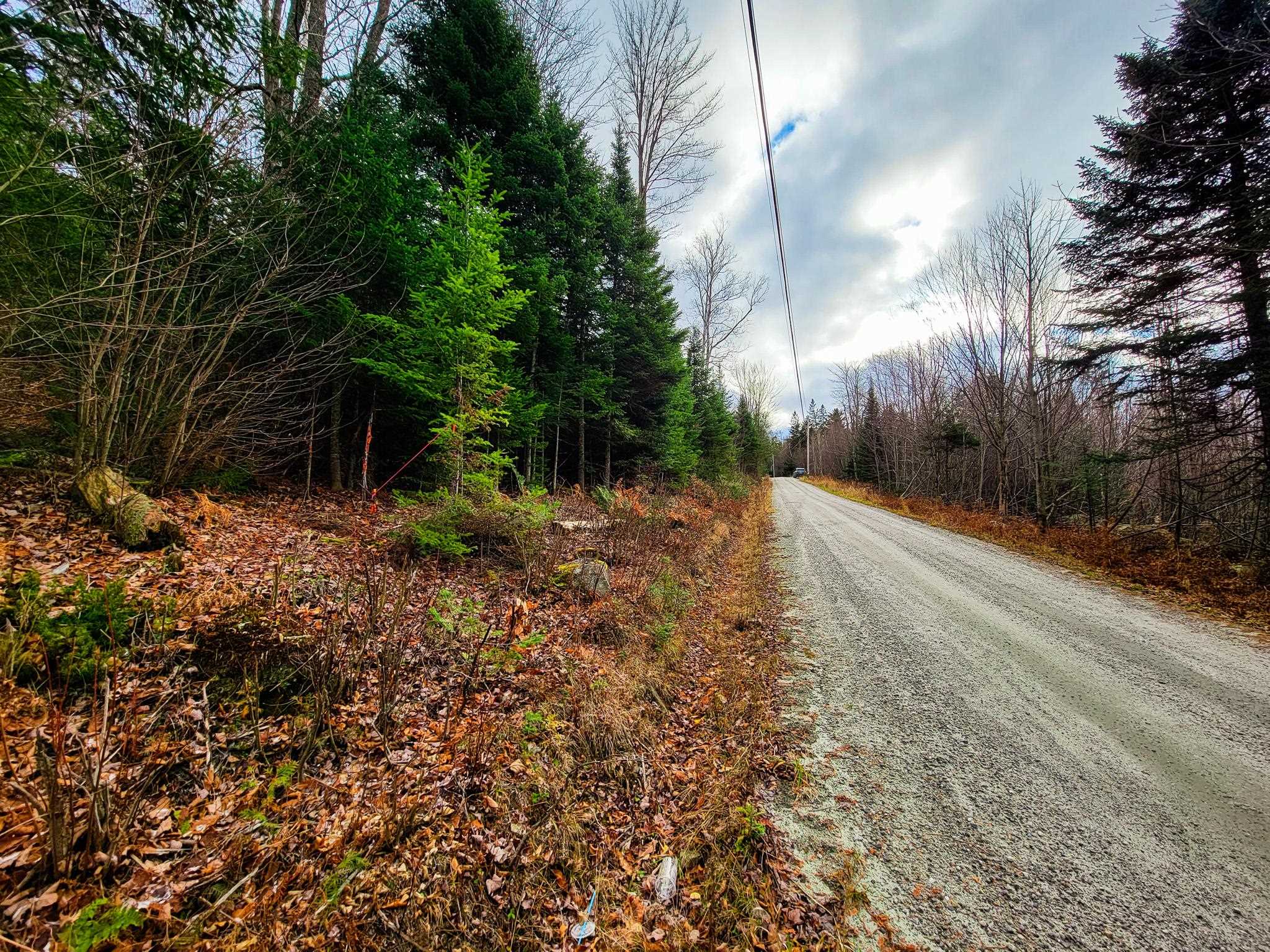 313 Paradis Mountain Road Brighton, VT 05846 - Photo 29 of 40 Gallery Image 29
