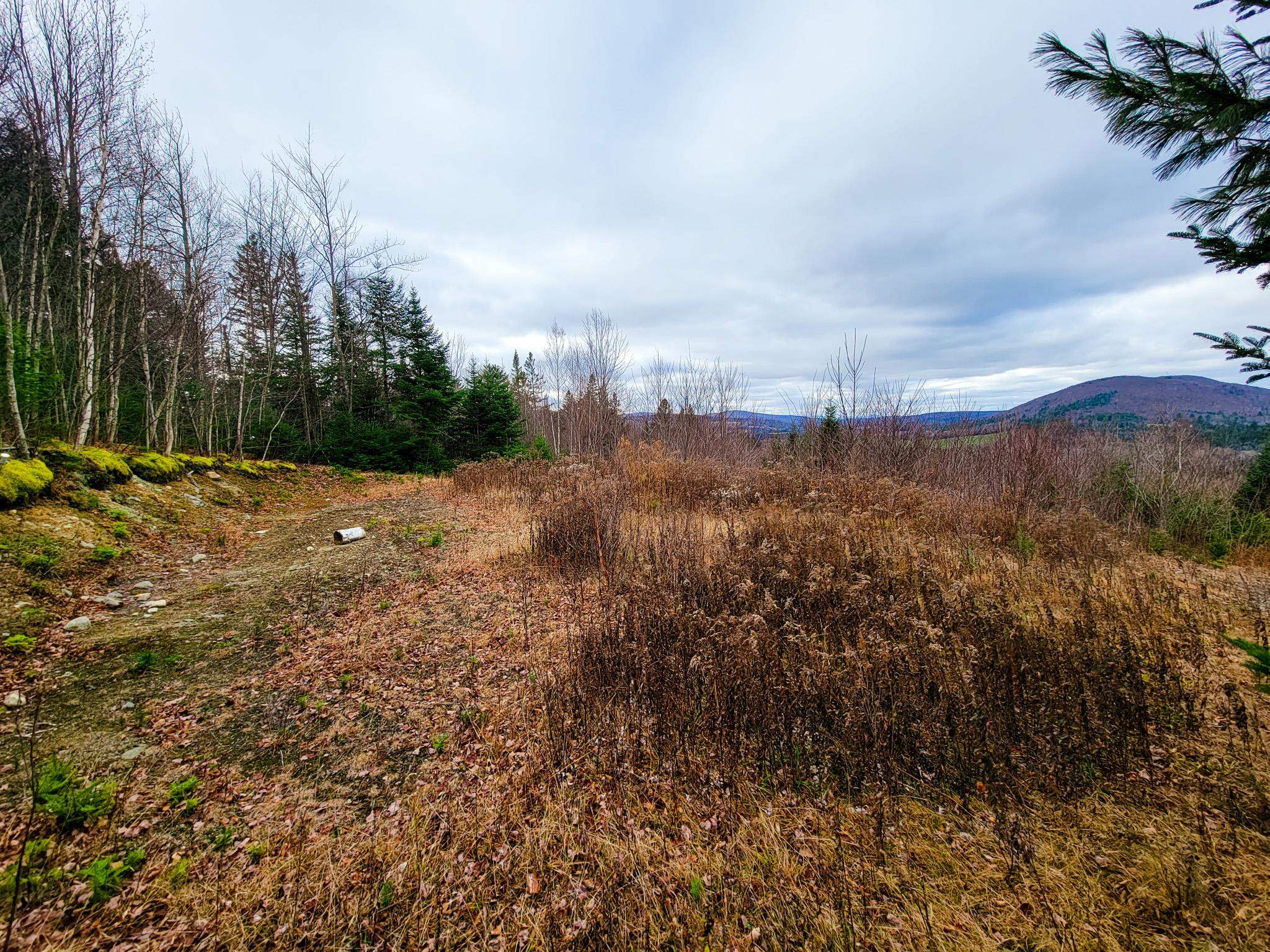 313 Paradis Mountain Road Brighton, VT 05846 - Photo 5 of 40 Gallery Image 5