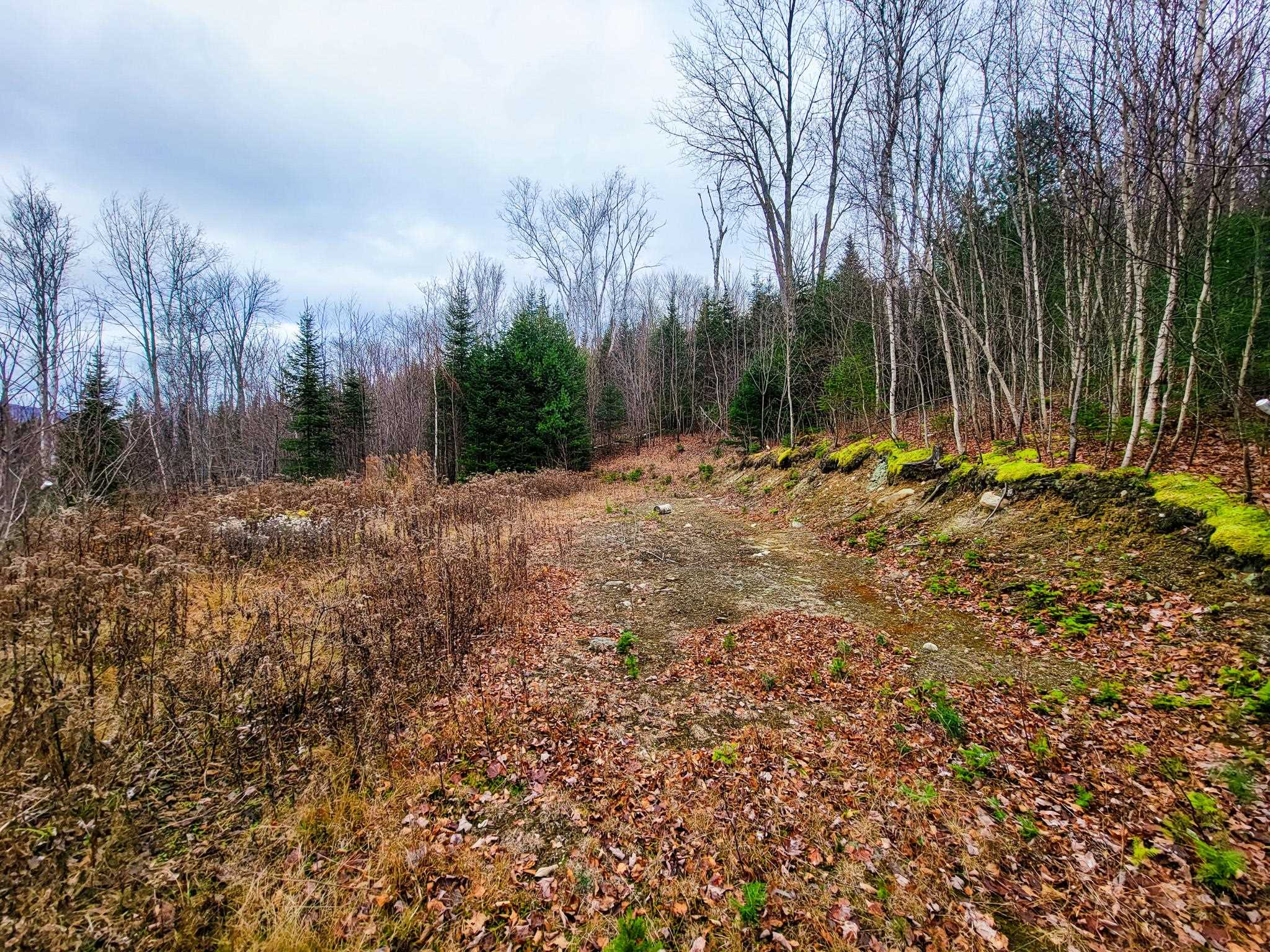 313 Paradis Mountain Road Brighton, VT 05846 - Photo 6 of 40 Gallery Image 6