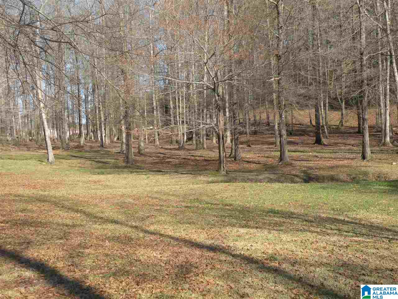 115 Savannah Ridge Sylacauga, AL 35150 - Photo 31 of 34