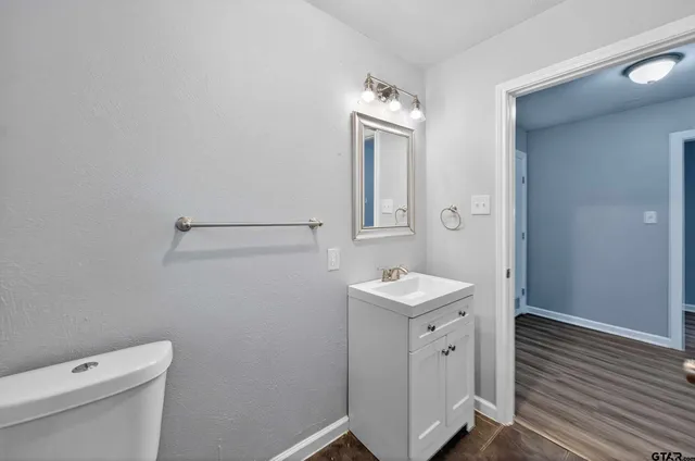 a bathroom with a toilet a sink a mirror and vanity