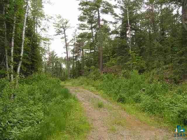 1687 Golden Ridge Trail Ely, MN 55731 - Photo 2 of 15