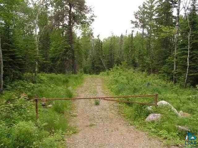 1687 Golden Ridge Trail Ely, MN 55731 - Photo 3 of 15