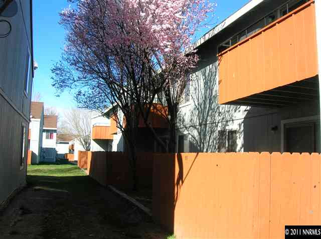 a view of backyard with large tree
