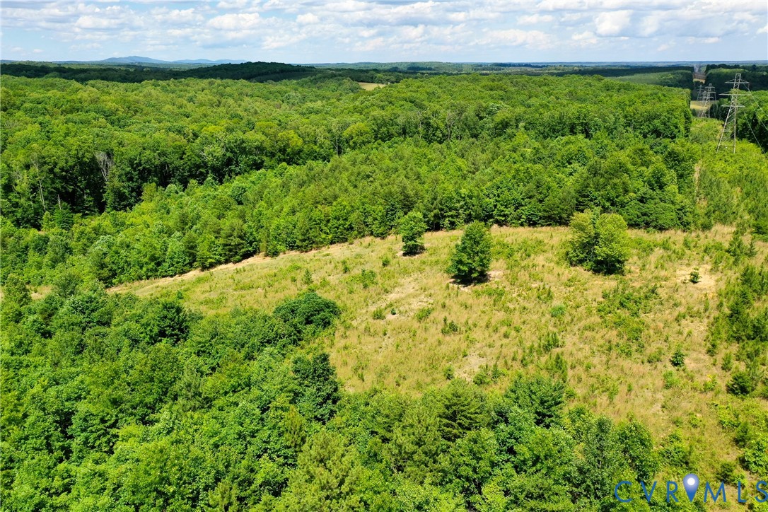 0 Mt Alto Road Esmont, VA 22937 - Photo 6 of 34