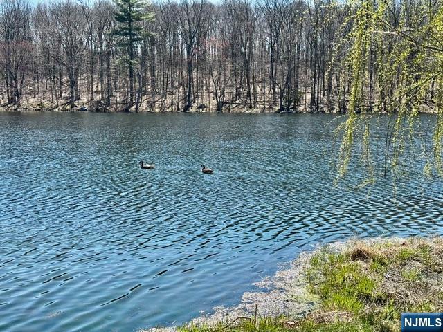 106 Starlight Road West Milford, NJ 07480 - Photo 8 of 31