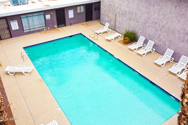 a view of a swimming pool with lawn chairs and plants