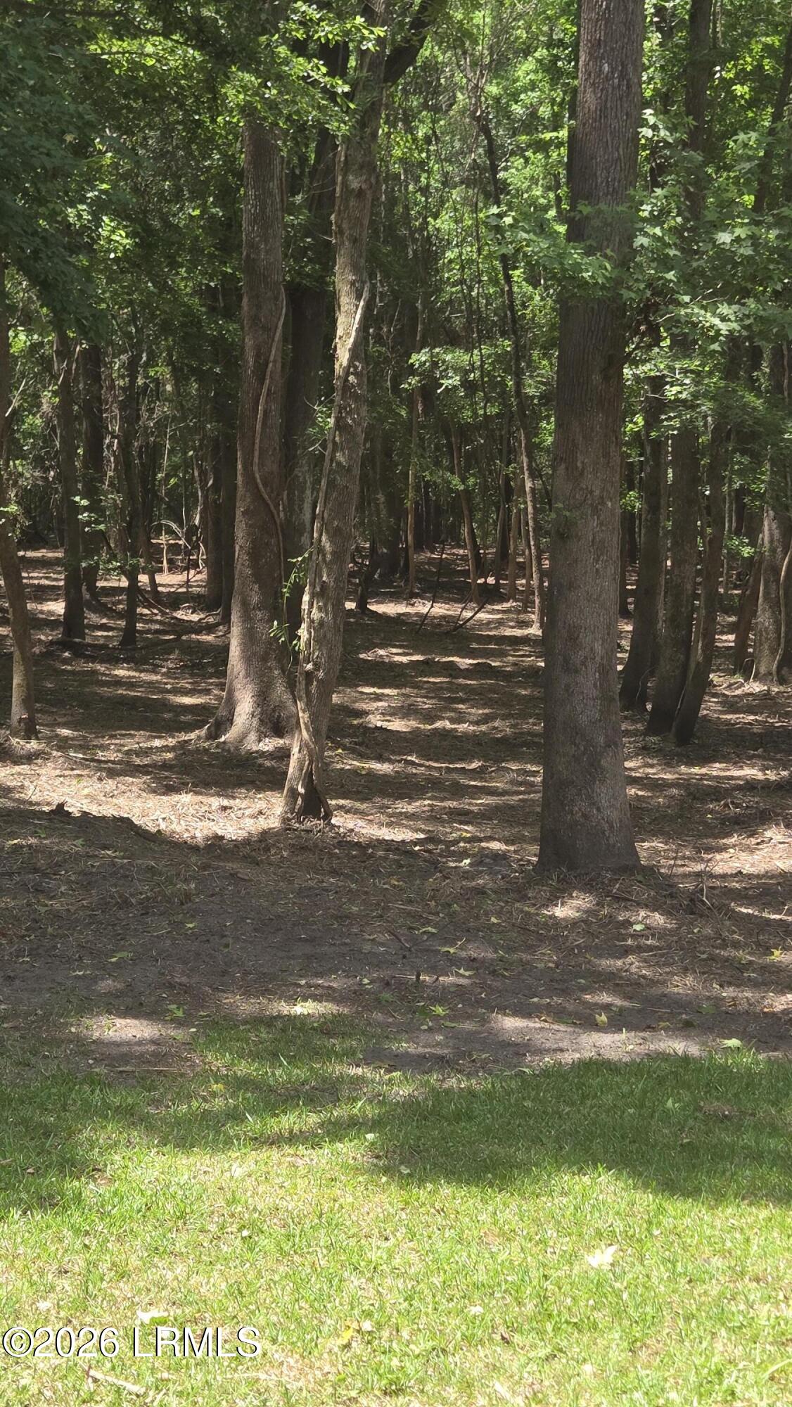 976 Sams Point Road Beaufort, SC 29907 - Photo 54 of 63 20260526_122831