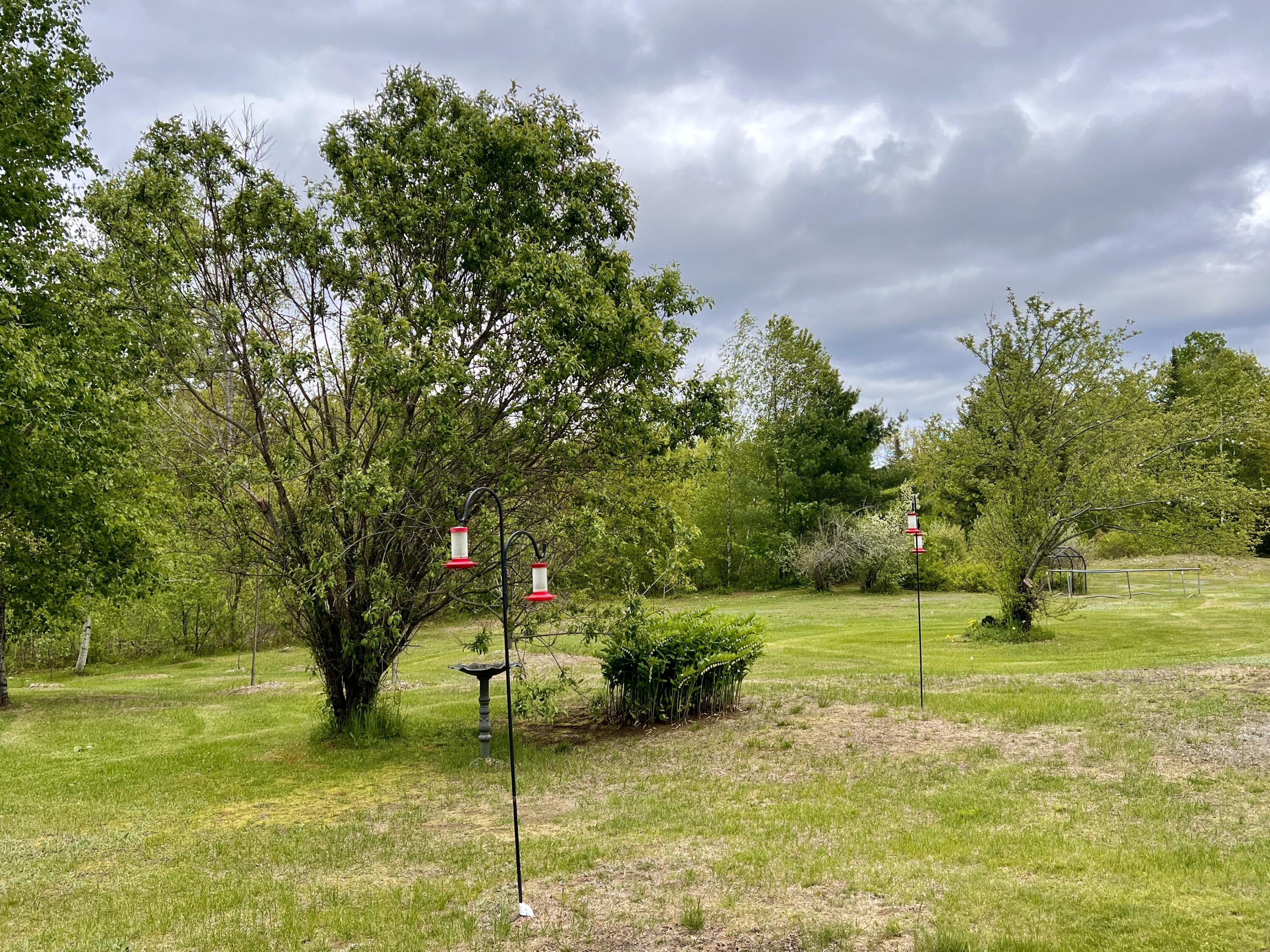 125 Middle River Road Greenbush, ME 04418 - Photo 40 of 43 Oasis