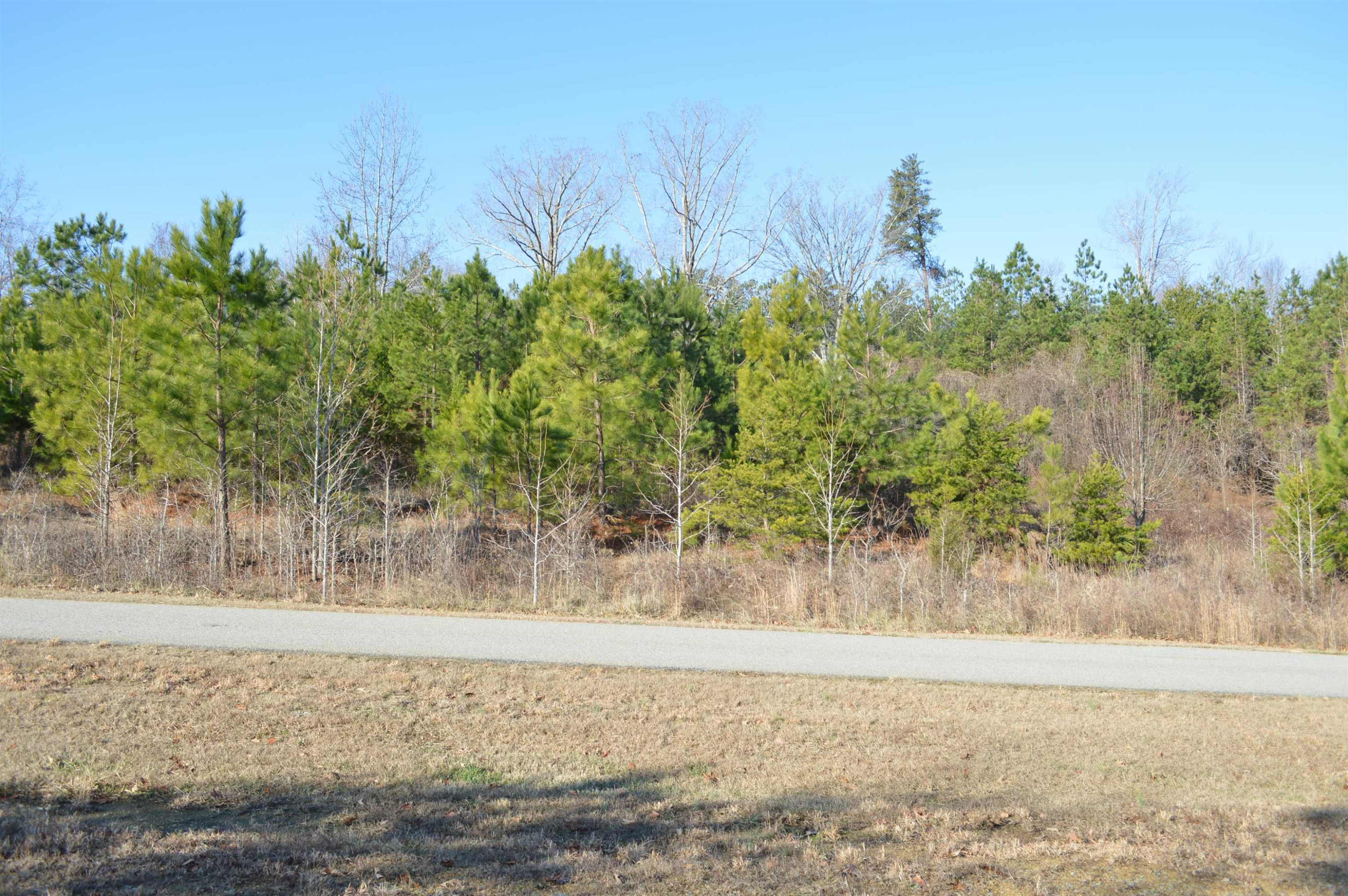 220 Pointe Drive Roxboro, NC 27574 - Photo 1 of 14 Photo 1