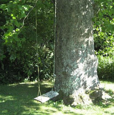 1315 Old US 60 Road Frankfort, KY 40601 - Photo 15 of 27 Another resting place under a large syca