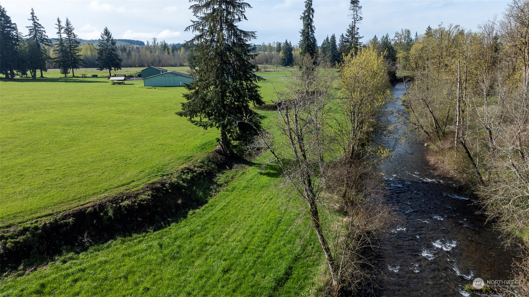 194 Berg Road Onalaska, WA 98570 - Photo 6 of 40 Gallery Image 6
