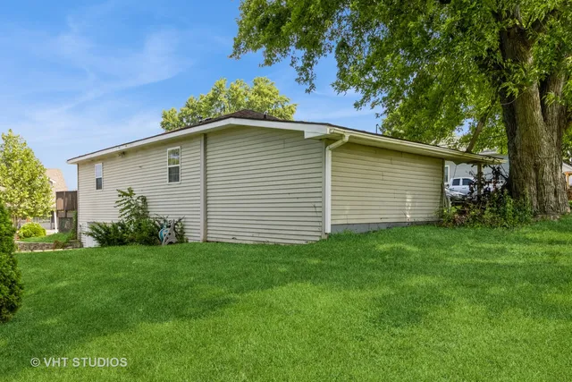 a view of a backyard with plants and large tree