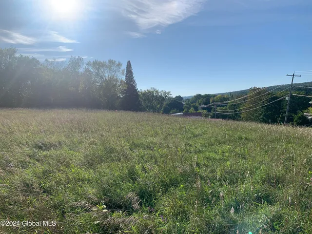 $142,000 | Lot 1 Western Turnpike, Esperance, NY 12066