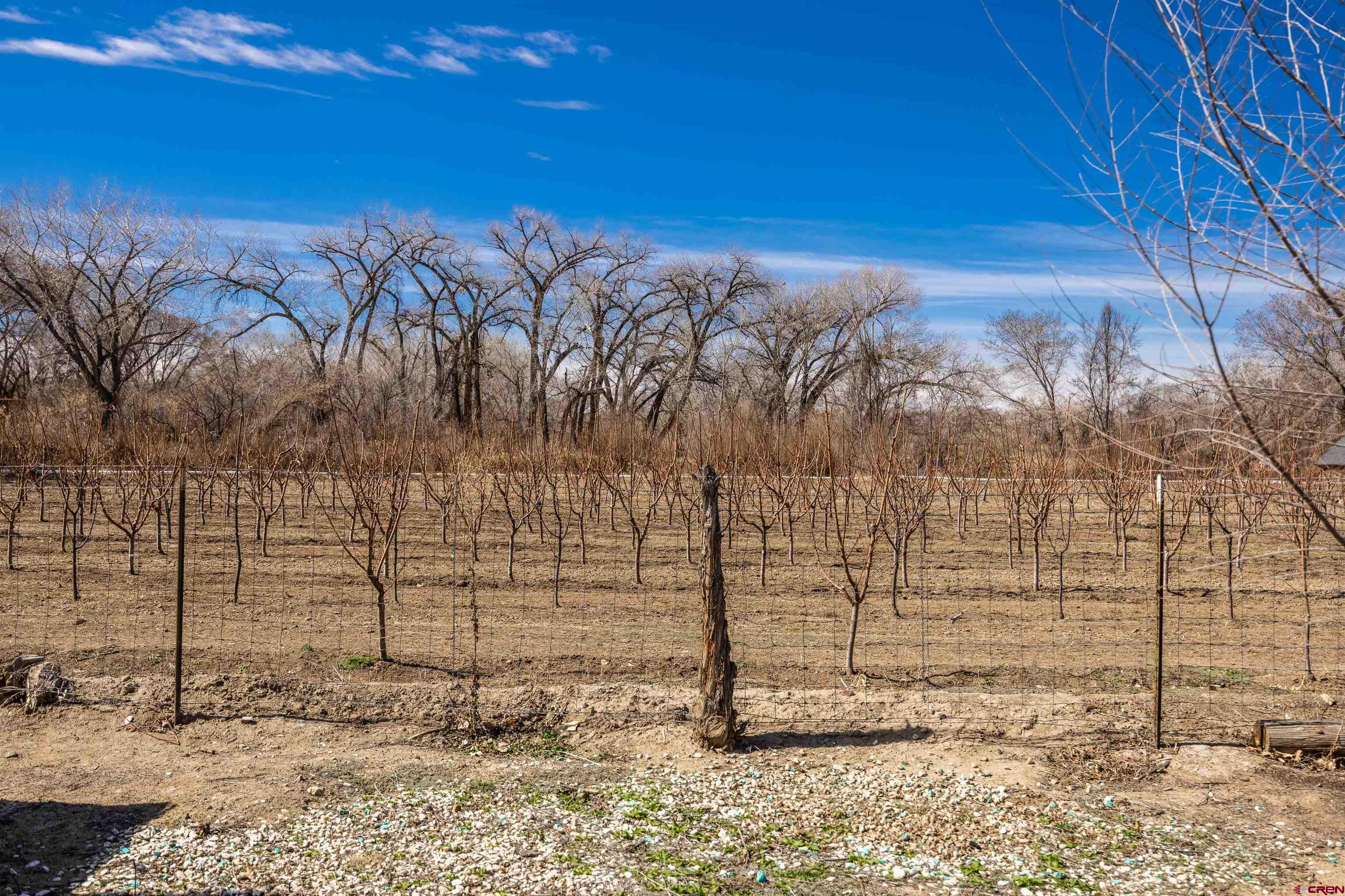161 Riverside Drive Olathe, CO 81425 - Photo 15 of 15