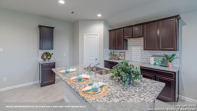 707 Wild Olive Way Seguin, TX 78155 - Photo 11 of 28