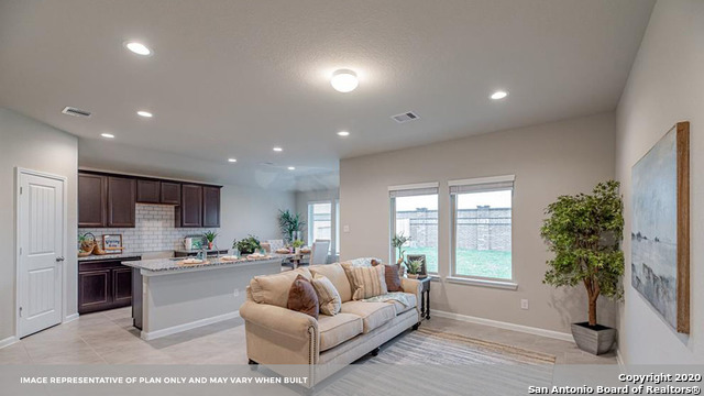 707 Wild Olive Way Seguin, TX 78155 - Photo 13 of 28